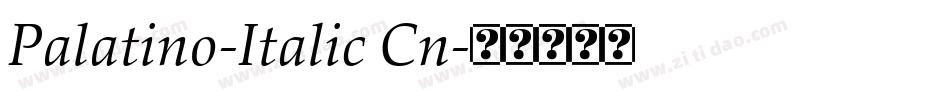 Palatino-Italic Cn字体转换
